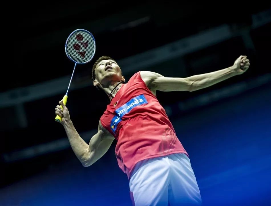 帅往往会导 帅往往会导