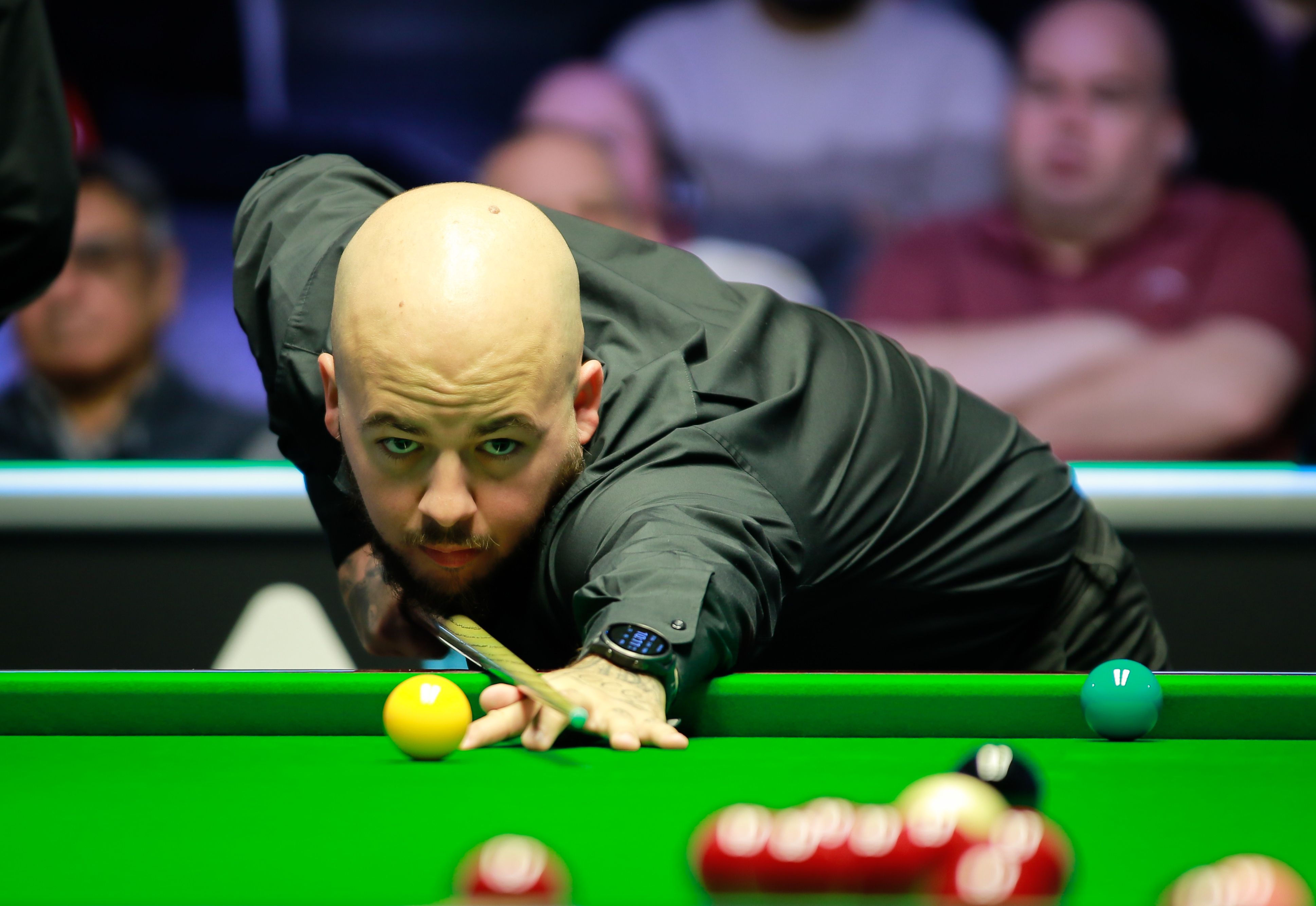 明了体育在 明了体育在